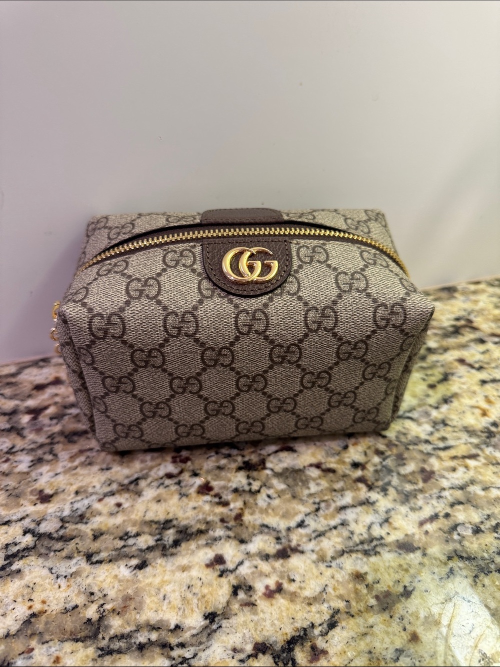Brown GG Canvas Logo Cosmetic Case with Gold Hardware NWOT similar to designer